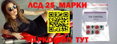 apvp Свободный