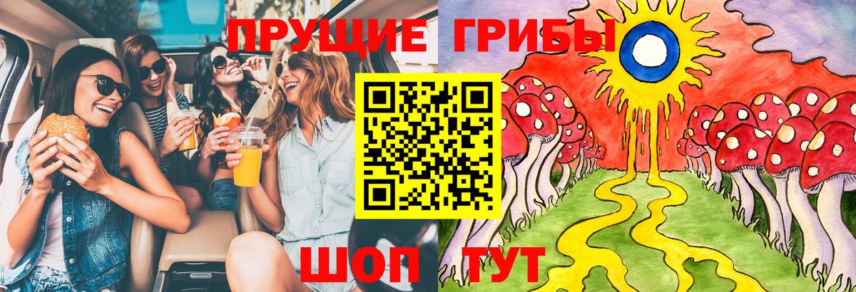 Нягань  Псилоцибиновые грибы прущие грибы  Галлюциногенные грибы Psilocybe  наркота  Вход с VPN 